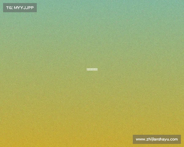 小助手网络科技