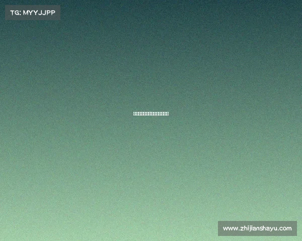 双人对战电子竞技枪怎么玩视频