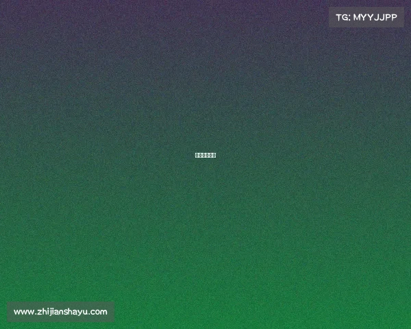 音速游戏公司 音速游戏公司